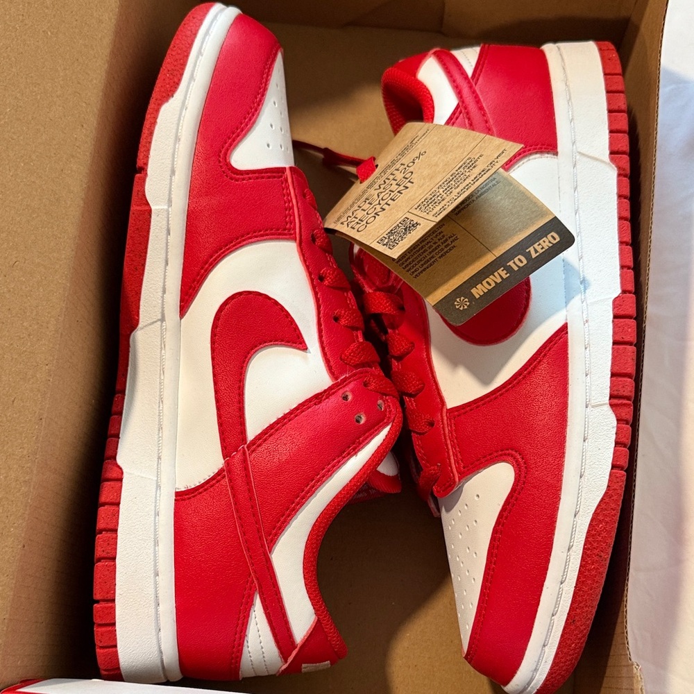 Nike Dunk Low Next Nature
